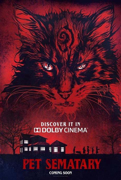 pet sematary summary movie 2019.